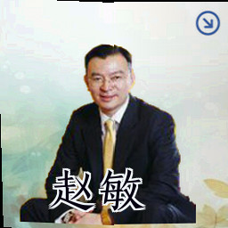 赵敏